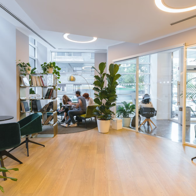 allergivennlig renhold